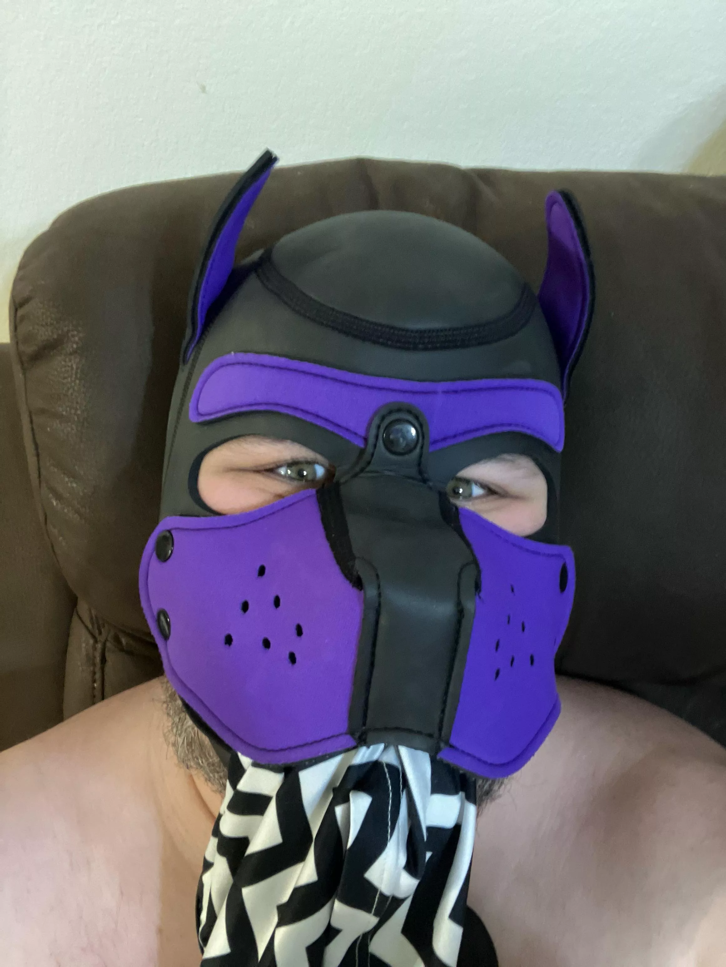 Pup time