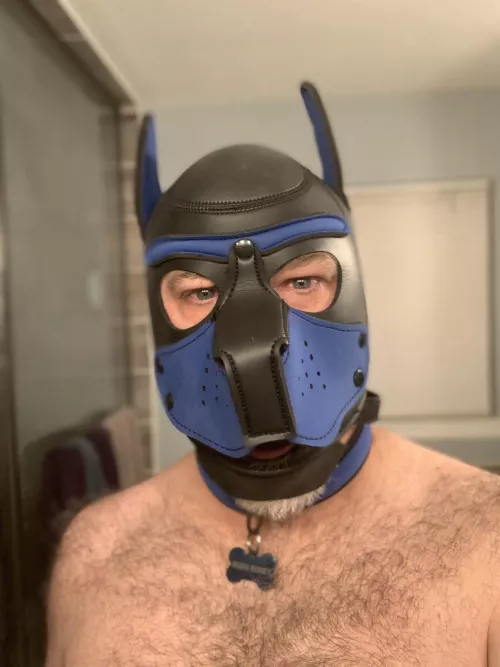 This puppy’s owner is about to fist fuck him!