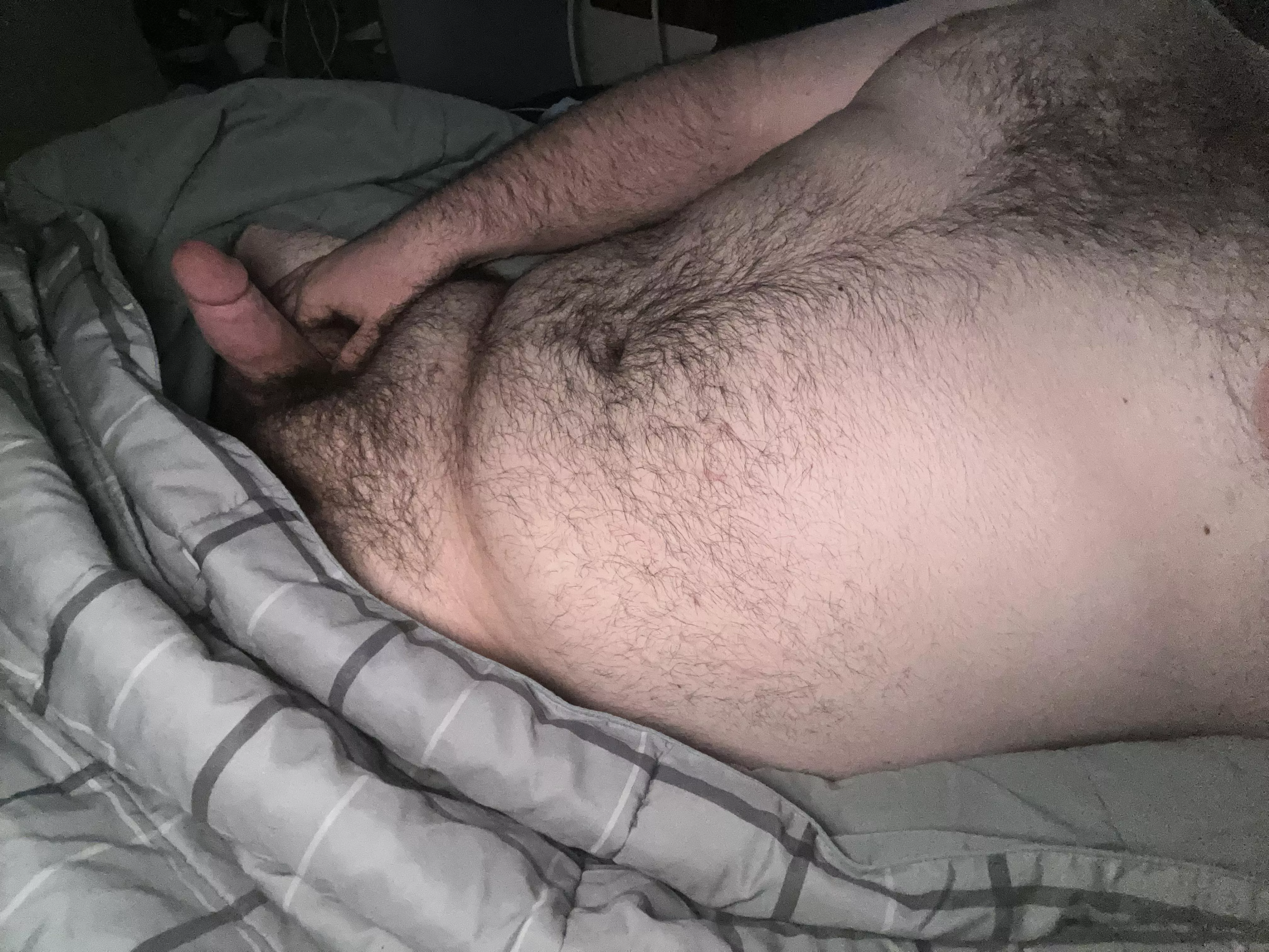 21 college bear needing some real bears to teach and train me 