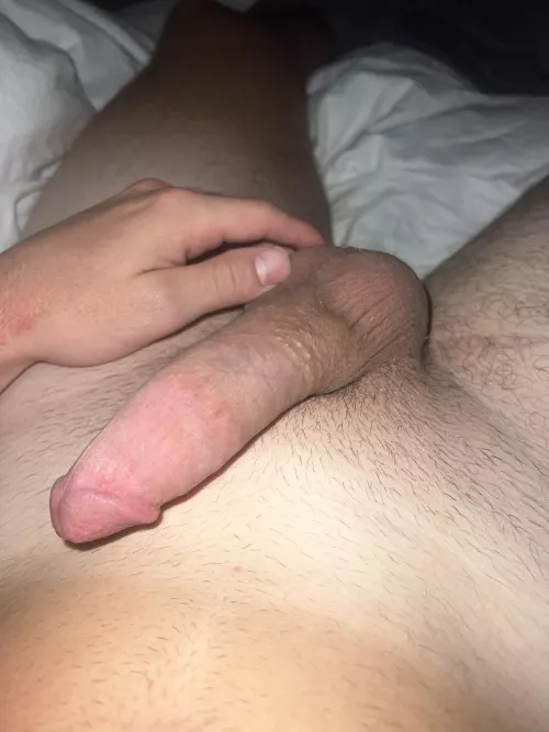 22 dl snap: Ron244998