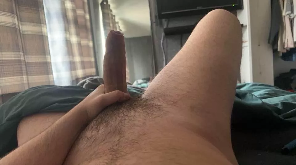 23, Hung dom here, looking for femboys, sissies and bottoms. Dm me