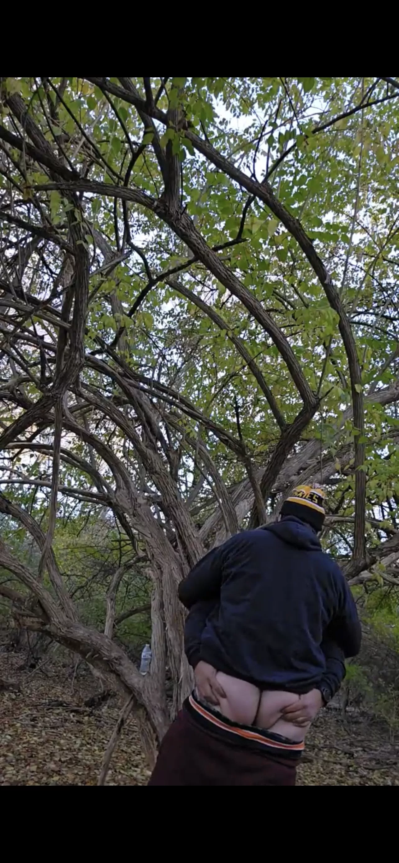 [34] Good morning bros, and happy Monday :)