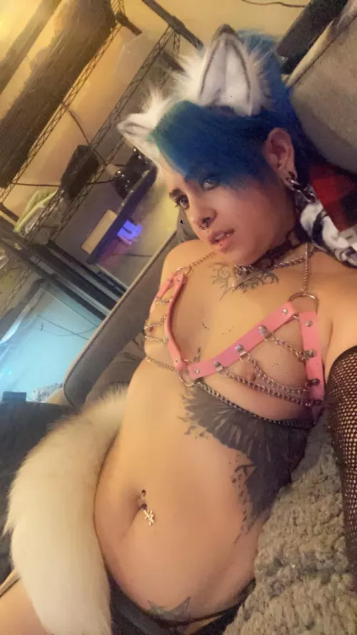 a better or worse encounter than the easter bunny?