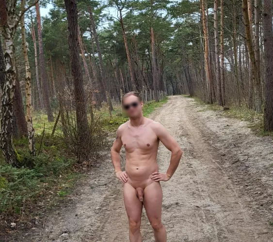 A walk in the forest