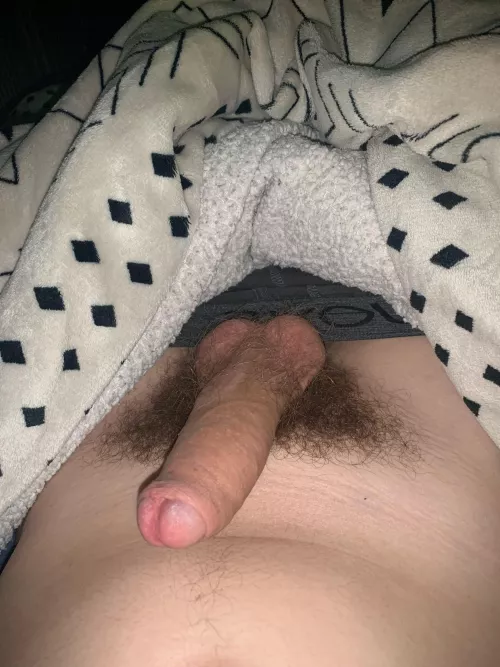 Bottoms add: Johnlog3