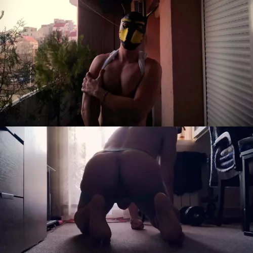 Dinner for my pupsband 🐶