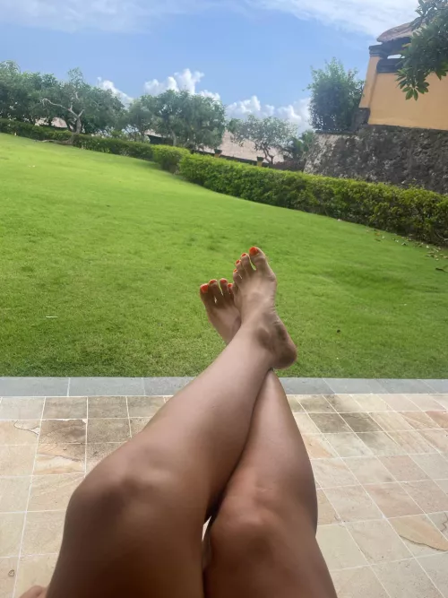 Do you like the view?