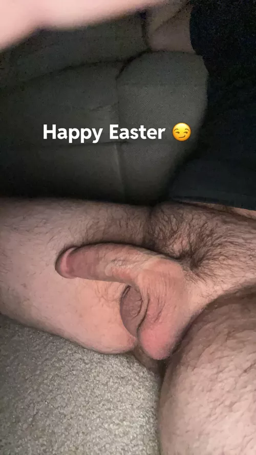 Egg hunt ? [37] 
