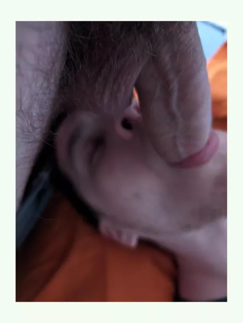 Feeding the Twink bextdoor