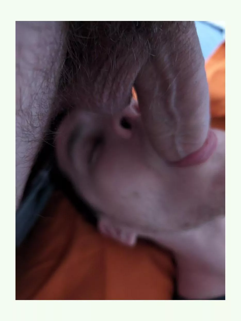 Feeding the Twink bextdoor