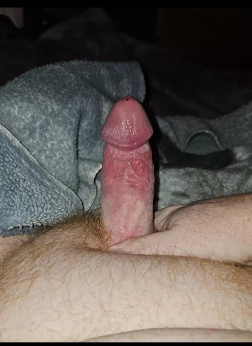 Give me your honest opinion 