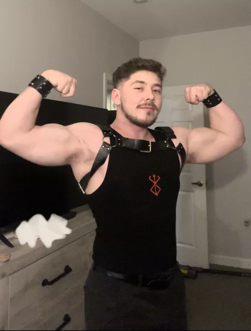 Had to bust out the harness for a concert so my girlfriend could walk me on her leash 😼