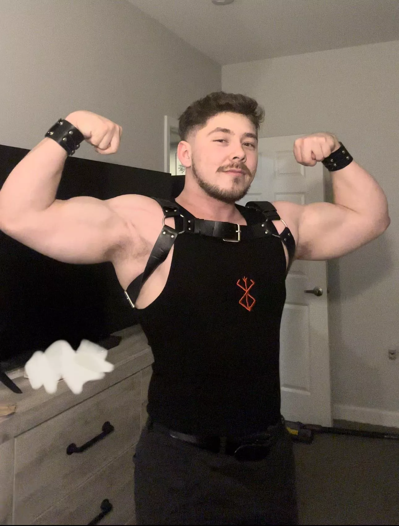 Had to bust out the harness for a concert so my girlfriend could walk me on her leash 😼 Had to bust out the harness for a concert so my girlfriend could walk me on her leash 😼