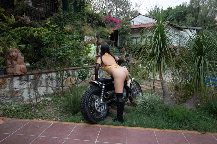 I hope the neighbors like Harley's