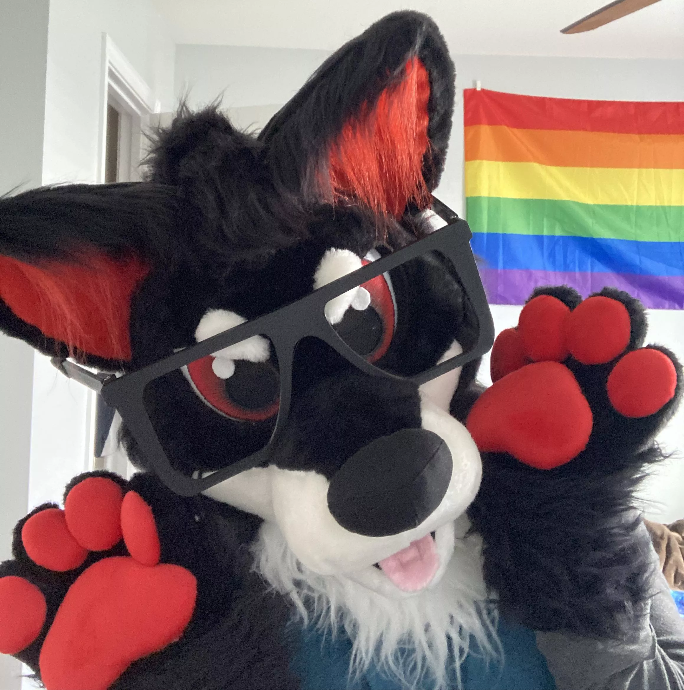 I want to wear my fursuit to my college this Halloween.