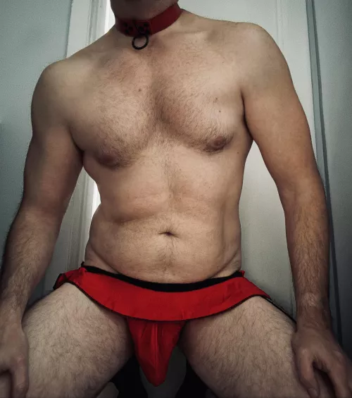 I was feeling cute this morning.  It’s my first post in here.  How did I do?