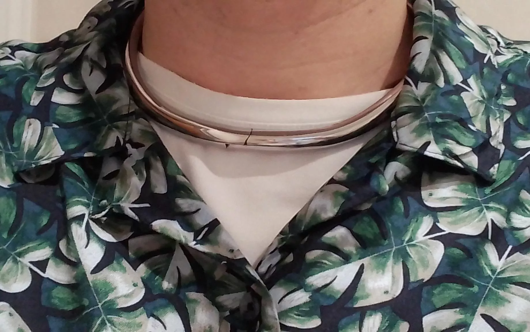 I've never worn my collar in public before.  Does this look innocent enough as a necklace?  Or is it obviously kinky?  I'm a guy fwiw.
