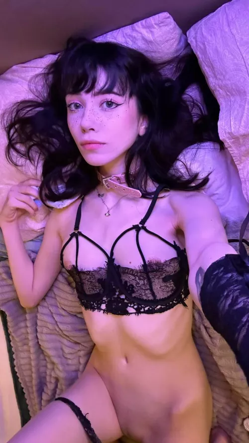 Let me make your dreams come true