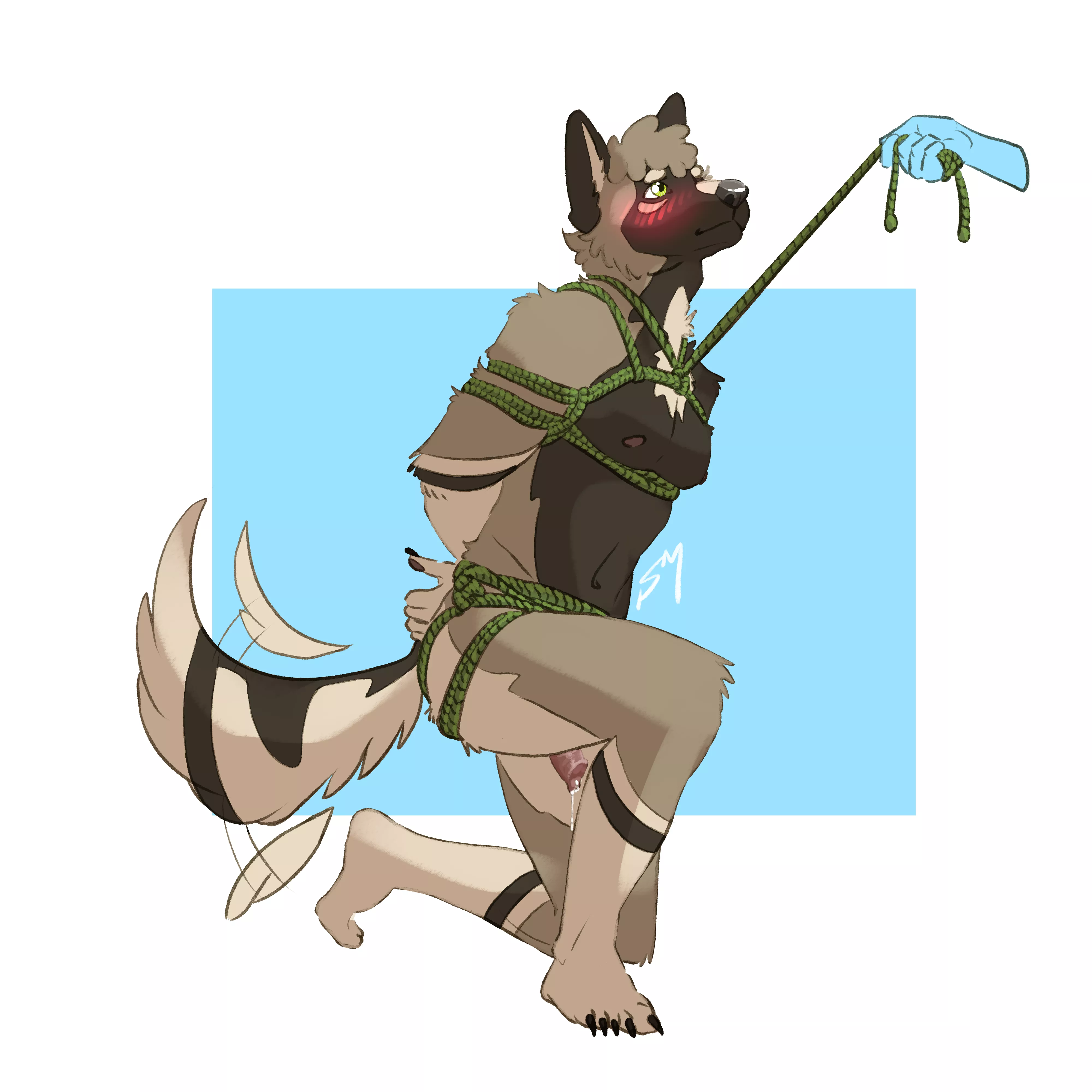 More of my sona, Barley, kneeling happily for his owner