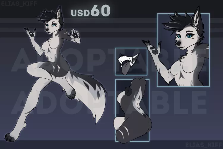 New Fox adopt #3