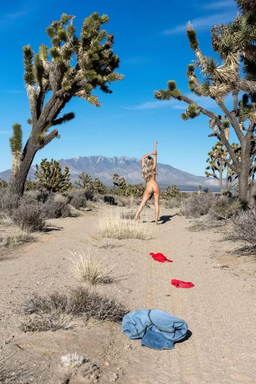 Posing like a Joshua tree 