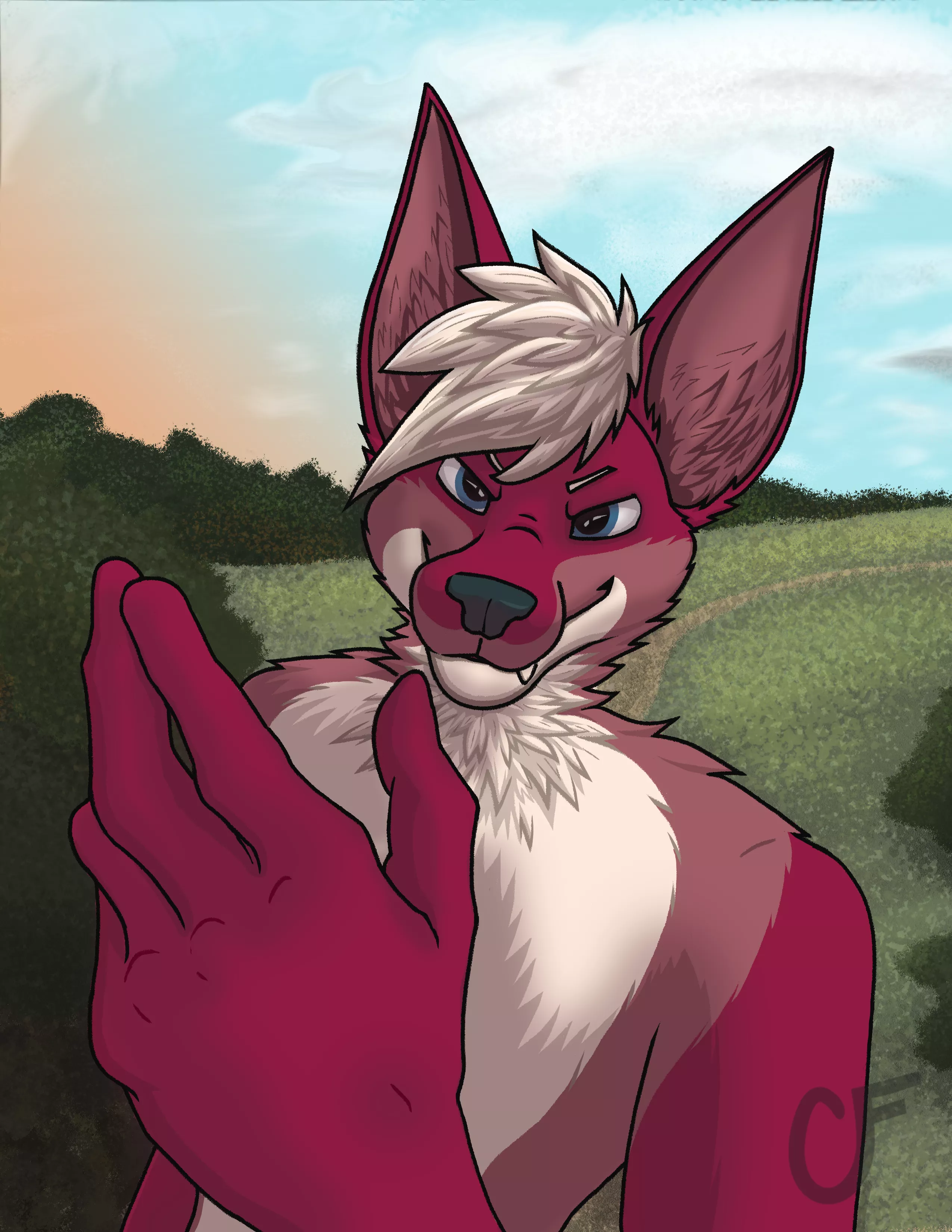 Rochester (Hand practice)