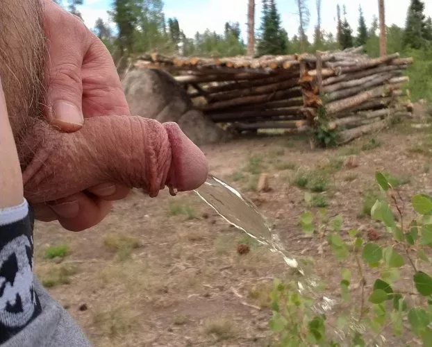 Springtime in the Rockies