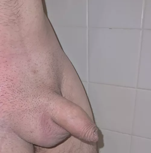 Tears of a cuck’s little dicklette