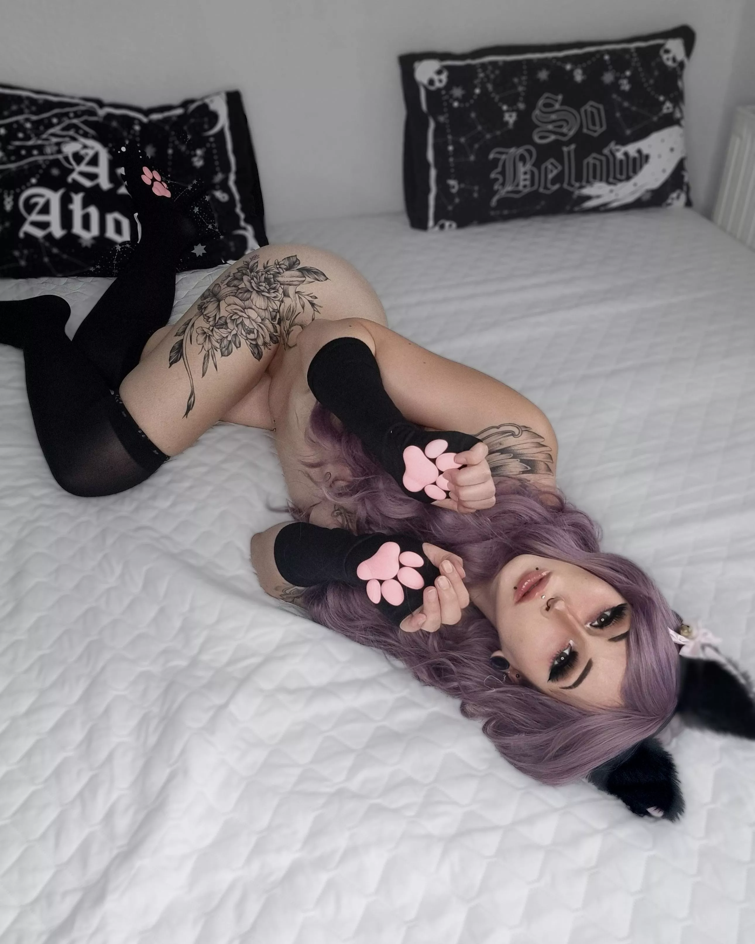 The kitty need headpats 🖤✨