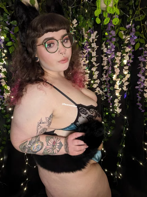 This kitty needs to be collared 