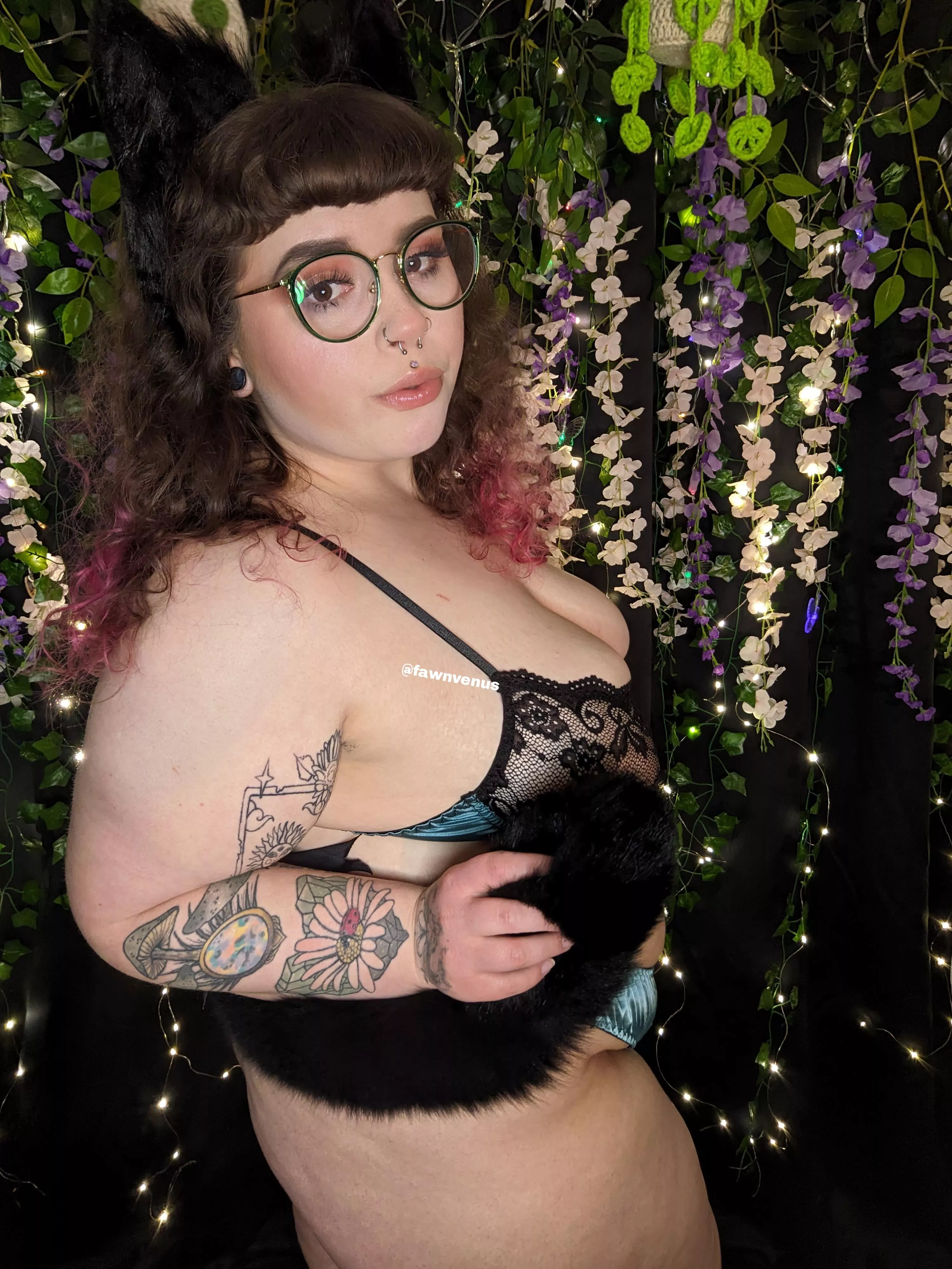 This kitty needs to be collared 