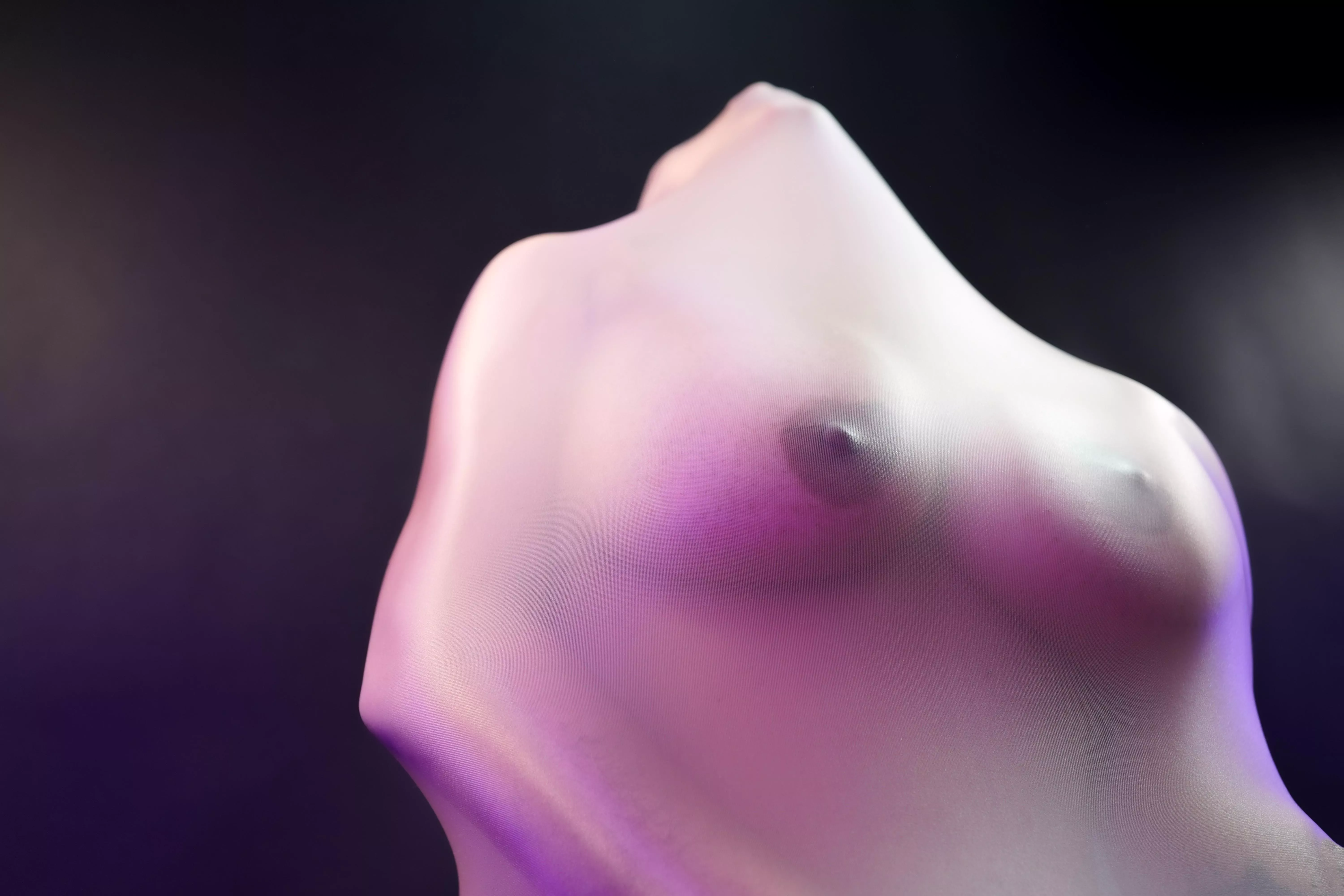 What a sculptor can never do is a living person