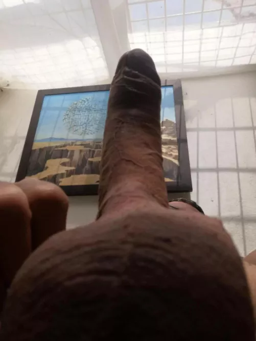 What about this View?