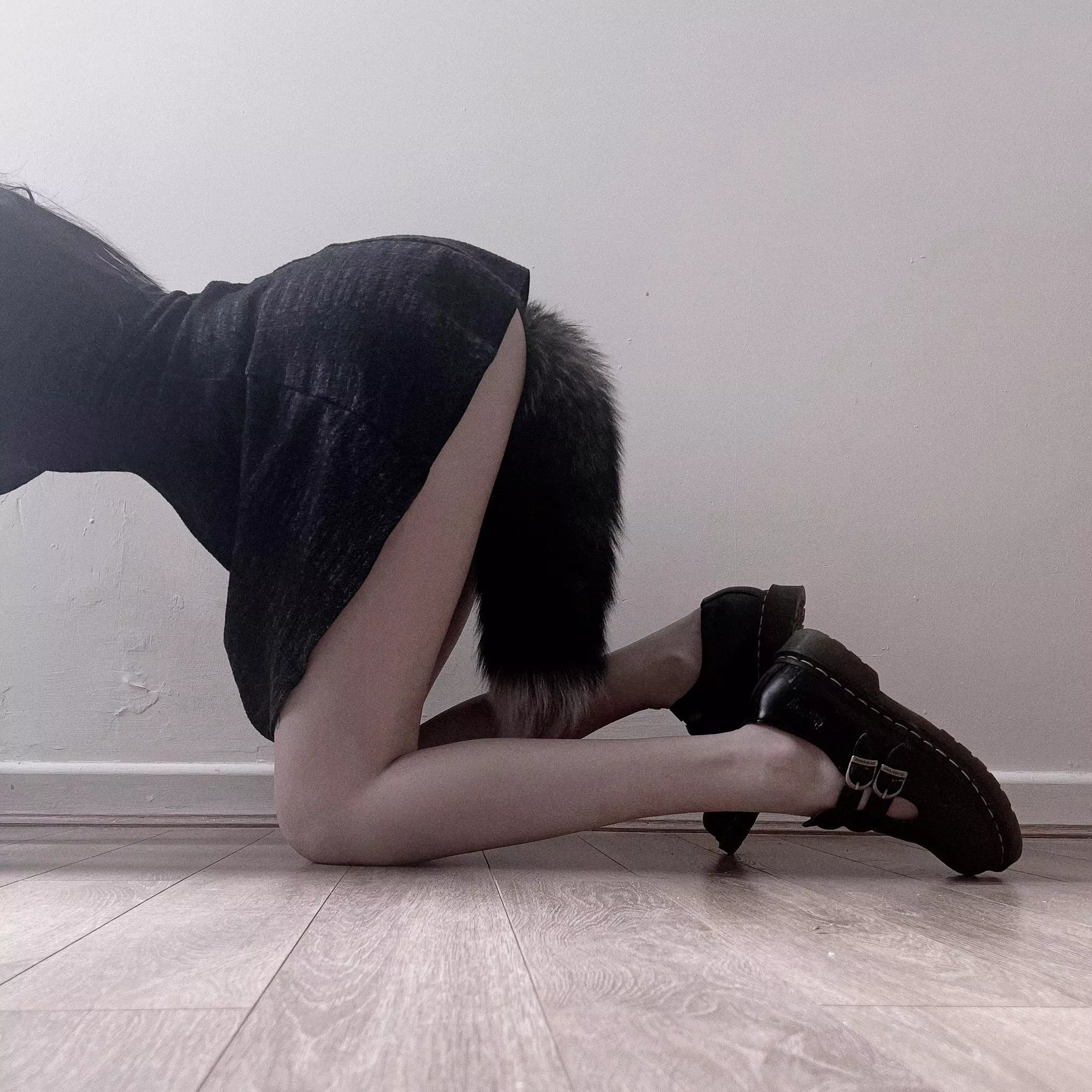 who wants to breed me