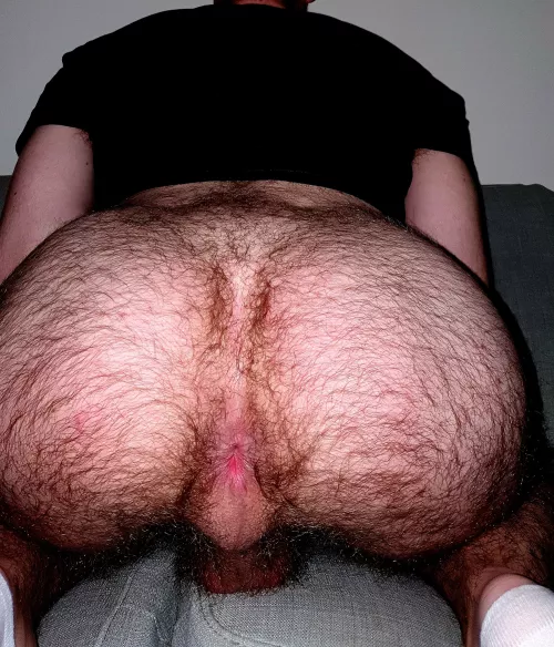Would you eat the ass of a masculine hairy man?
