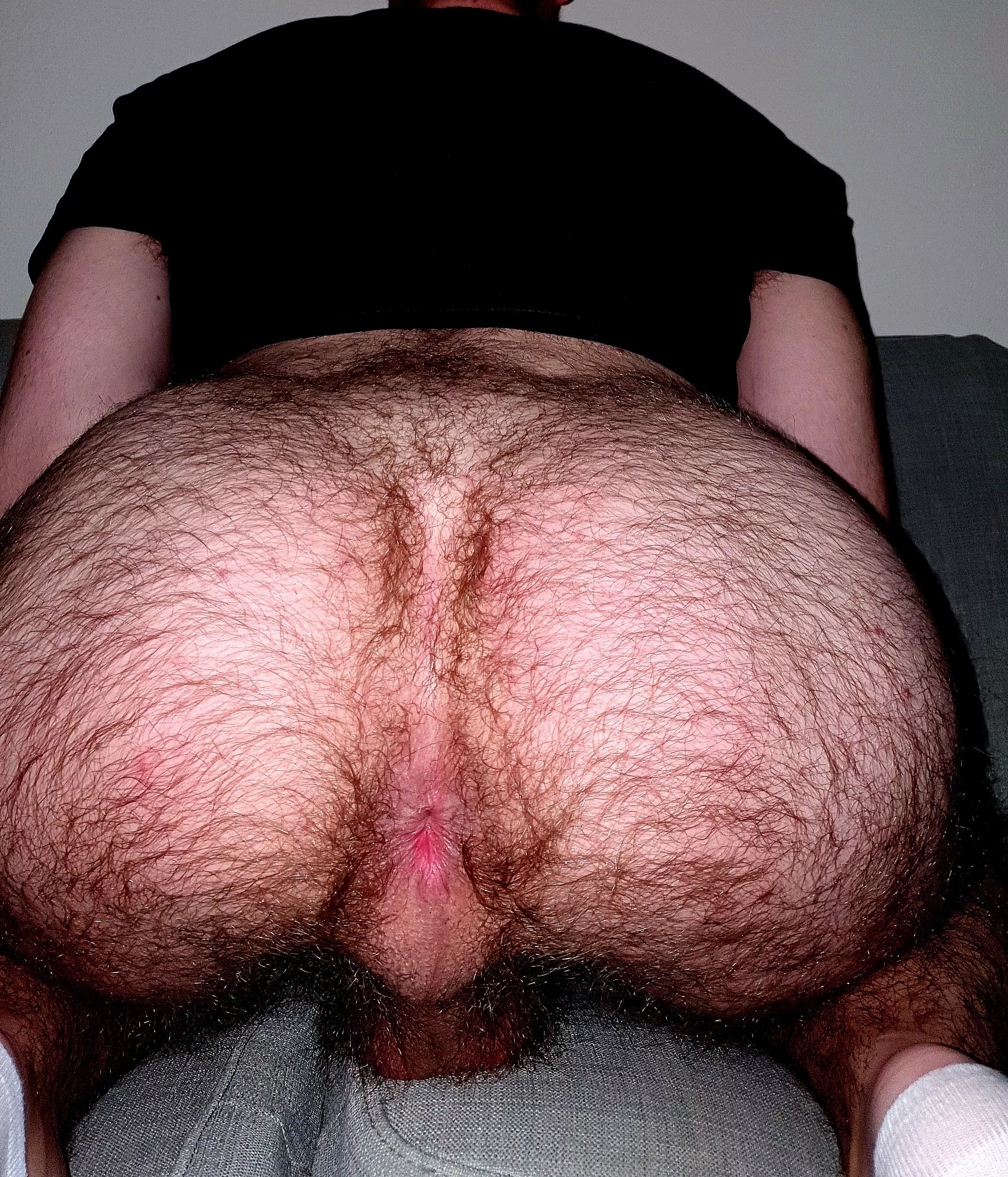 Would you eat the ass of a masculine hairy man?
