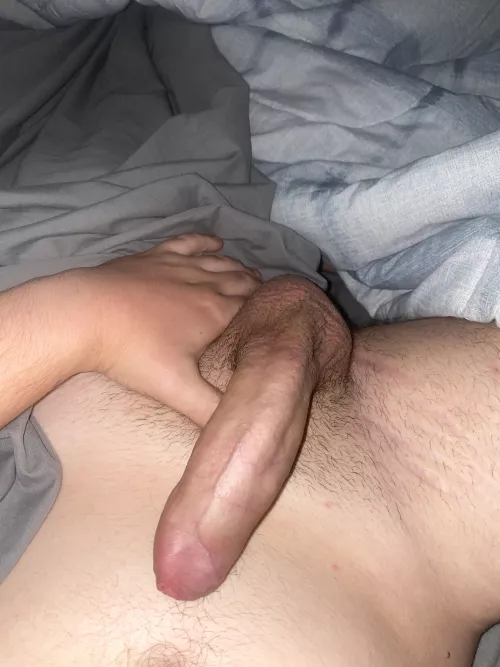 20, morning wood anyone?