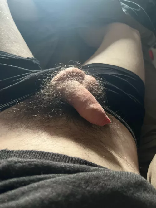 20 year old Irish softie