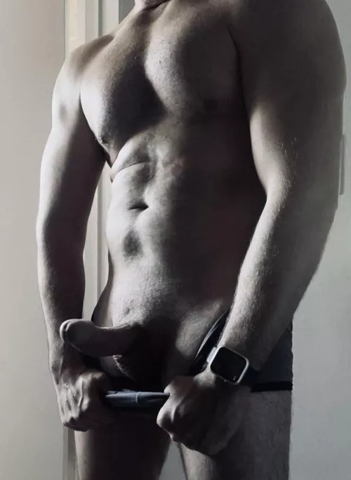 (43) Lets not go to work today