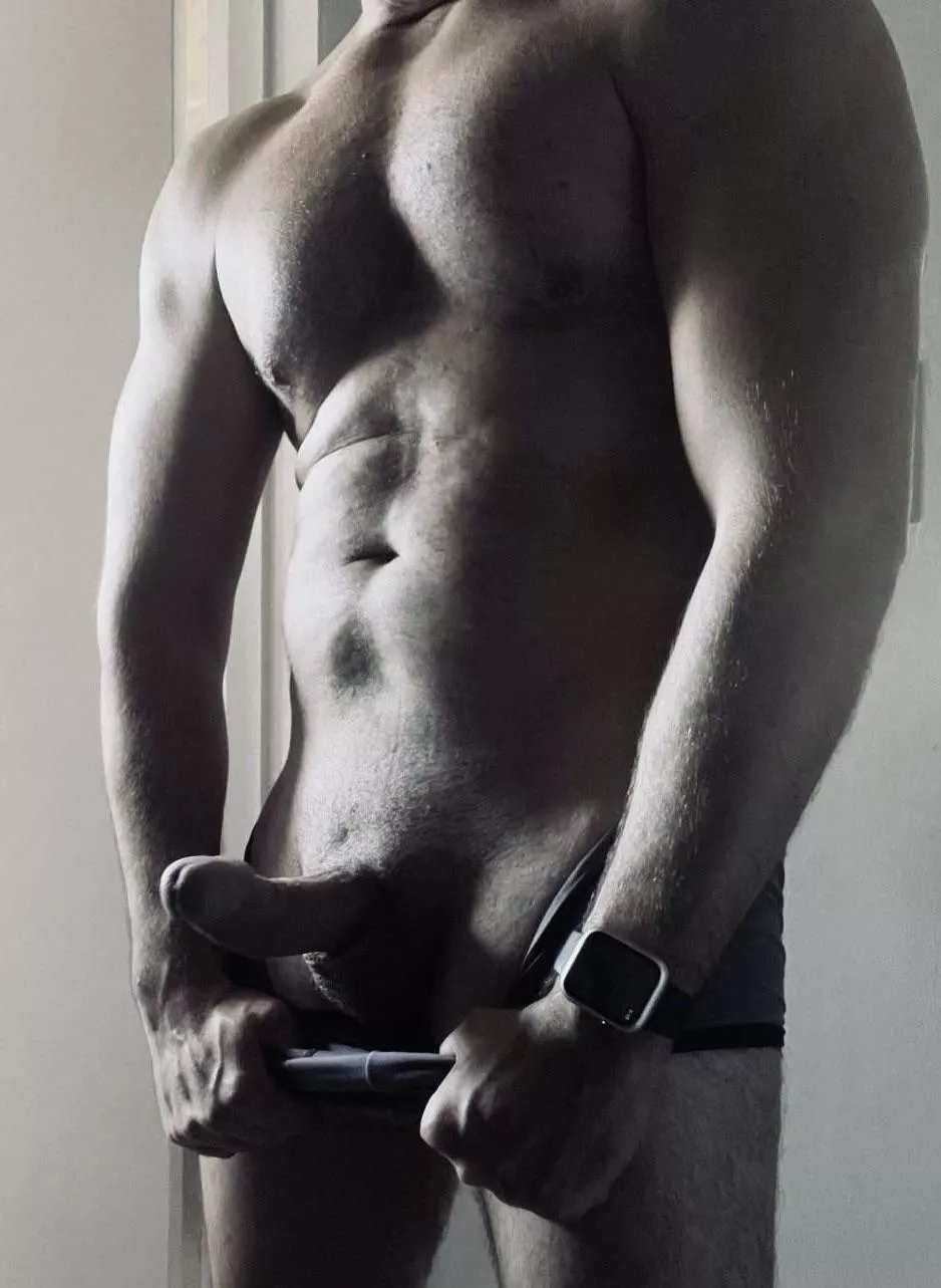 (43) Lets not go to work today