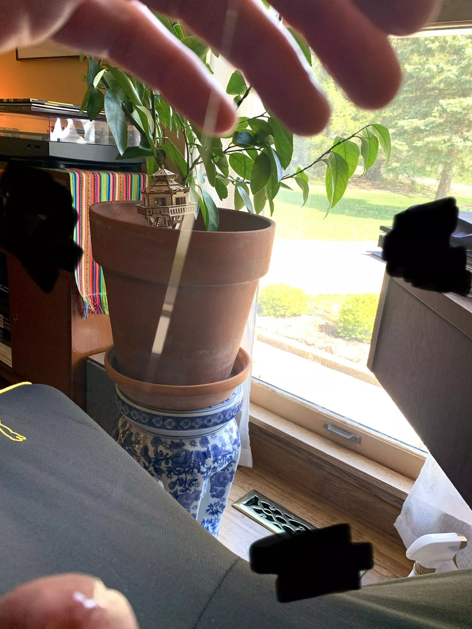 A little more viscosity today