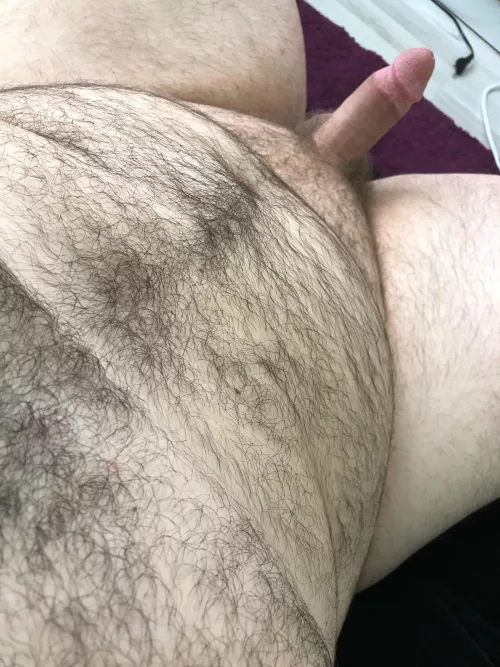 Am i bear enough? If so feel free to dm