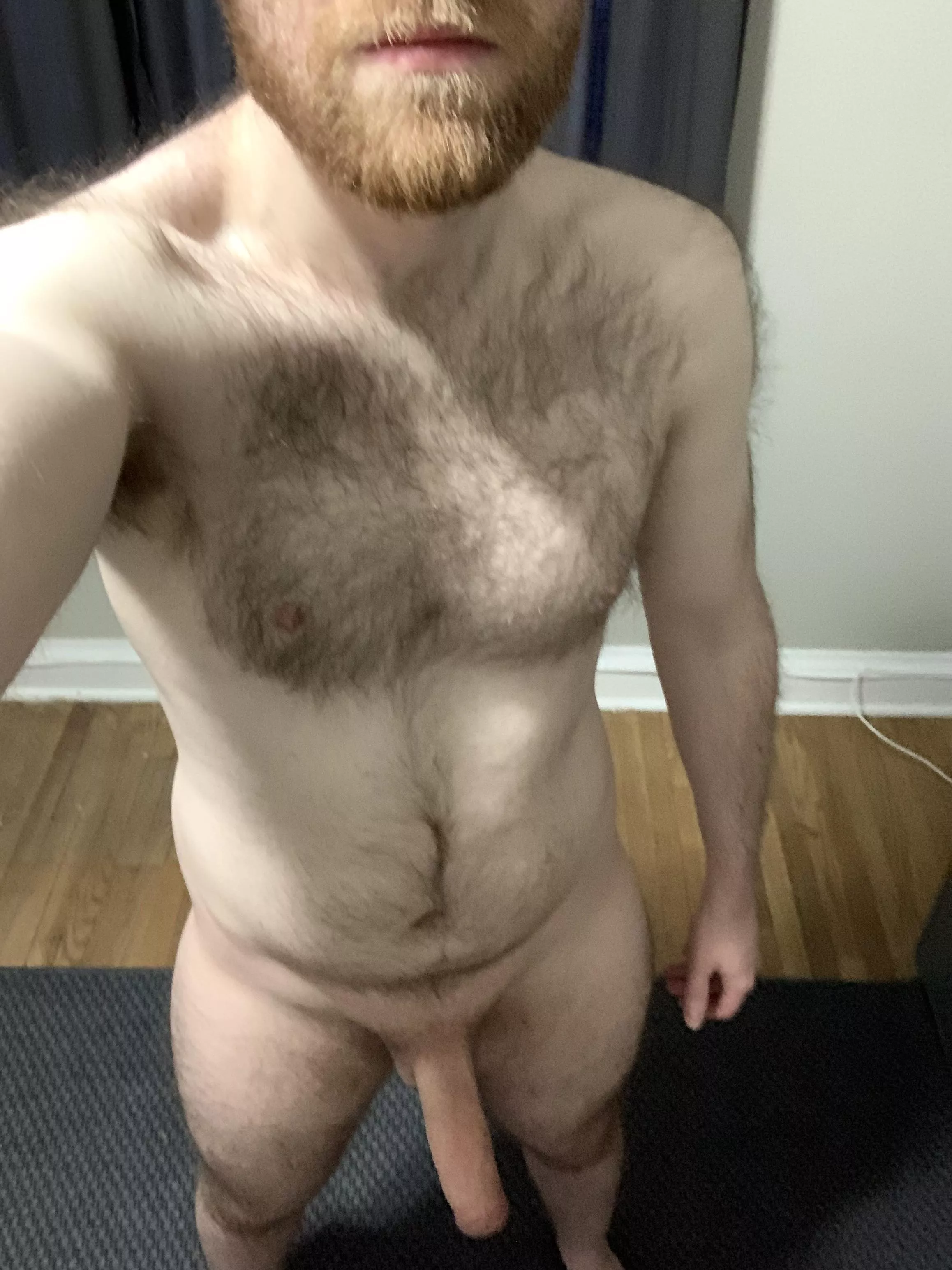 Do you like furry guys?