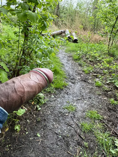 Follow the trail… and taste the rainbow…