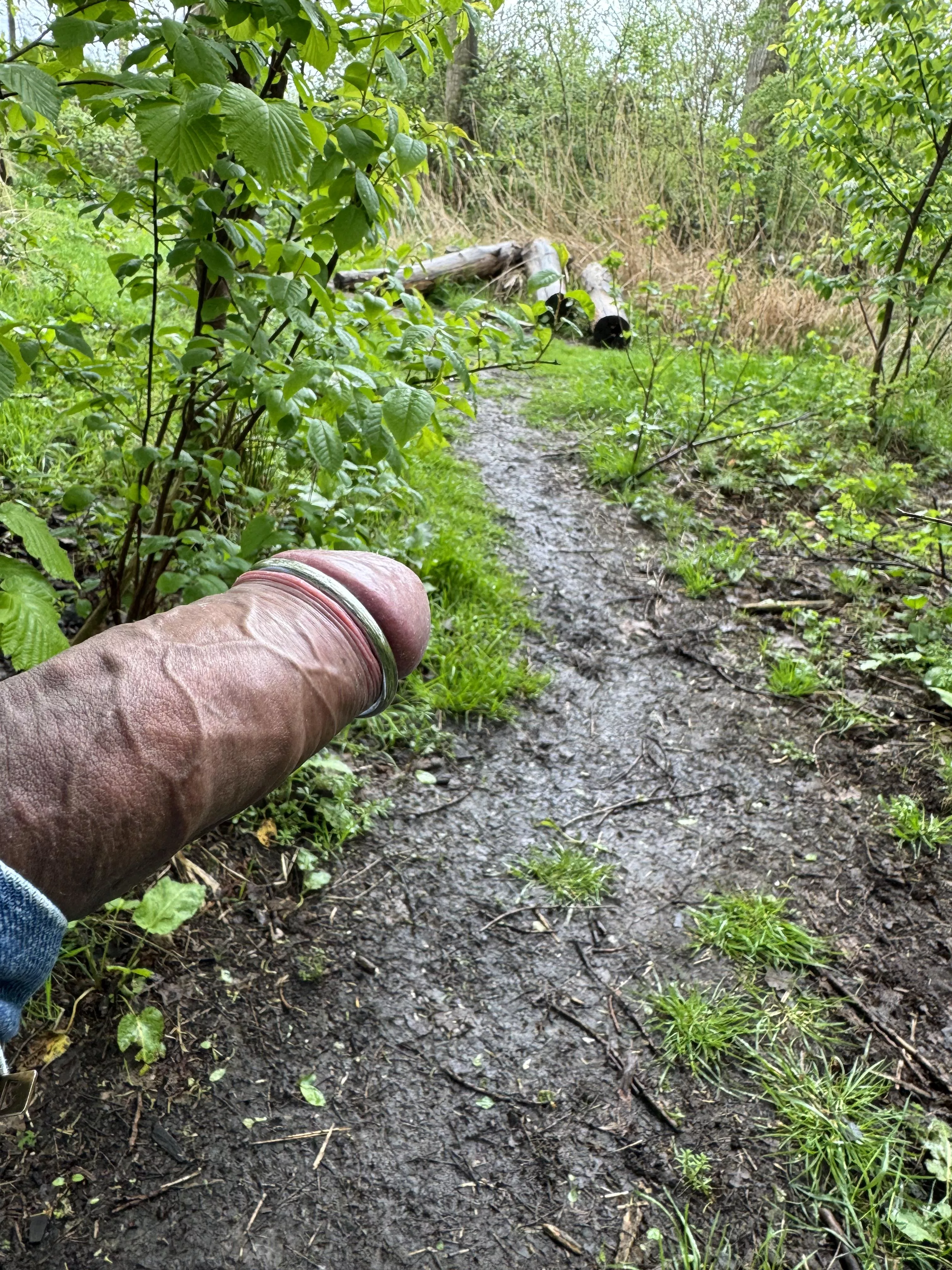 Follow the trail… and taste the rainbow…