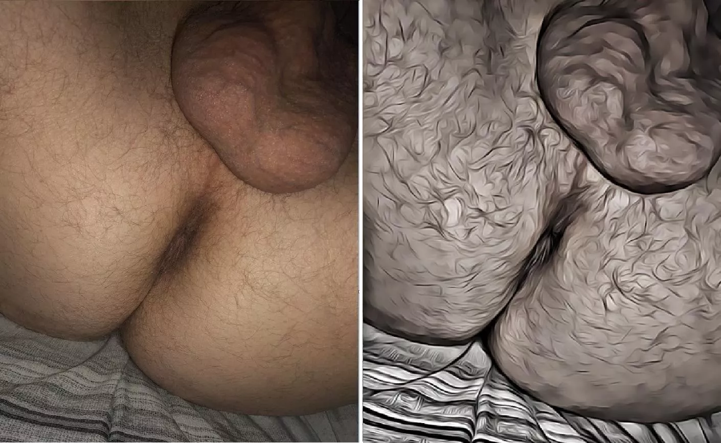 Fuzzy Real & Cartoon