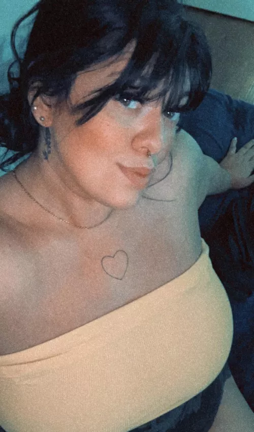 good morning silly geese!