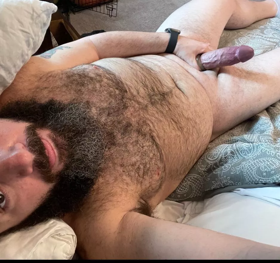 I love to be ridden and used