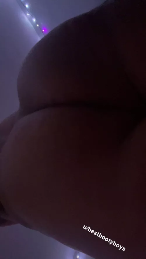 need someone who wants to worship my ass 