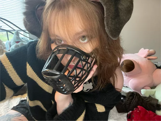 no dont muzzle me! i promise i wont bite :(